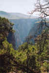 CanyonFramed.jpg (246234 bytes)