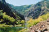 CoolGreenRiver.jpg (268914 bytes)