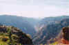 VultureOverCanyon.jpg (170268 bytes)
