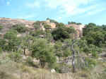 2005_0724EnchantedRock0001.JPG (258354 bytes)