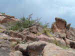 2005_0724EnchantedRock0014.JPG (232800 bytes)