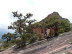 2005_0724EnchantedRock0017.JPG (202096 bytes)