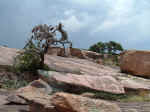 2005_0724EnchantedRock0020.JPG (221768 bytes)