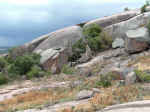2005_0724EnchantedRock0022.JPG (240744 bytes)