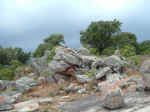 2005_0724EnchantedRock0025.JPG (228335 bytes)