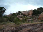 2005_0724EnchantedRock0029.JPG (195990 bytes)