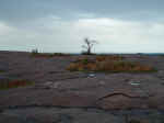 2005_0724EnchantedRock0033.JPG (170351 bytes)