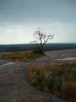 2005_0724EnchantedRock0037.JPG (179731 bytes)