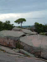 2005_0724EnchantedRock0050.JPG (192678 bytes)