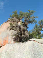 2005_0724EnchantedRock0063.JPG (253228 bytes)