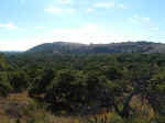 2005_0724EnchantedRock0067.JPG (207055 bytes)