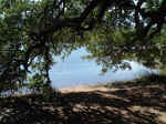 2005_0724EnchantedRock0073.JPG (309172 bytes)