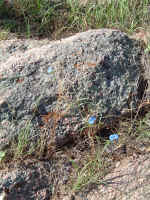 2005_0724EnchantedRock0080.JPG (375764 bytes)