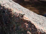 2005_0724EnchantedRock0083.JPG (271413 bytes)