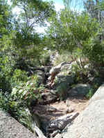 2005_0724EnchantedRock0084.JPG (356224 bytes)