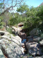 2005_0724EnchantedRock0085.JPG (322572 bytes)