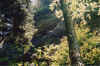 catchthesun.jpg (103130 bytes)