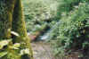 gardenfalls1.jpg (93273 bytes)
