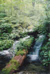 gardenfalls2.jpg (88145 bytes)