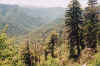 greenvalley.jpg (99142 bytes)