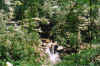 hiddenspring.jpg (119016 bytes)