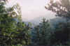 losthazyview.jpg (71179 bytes)