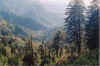 mistyvalley.jpg (82741 bytes)
