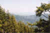 smokyhorizon.jpg (76711 bytes)