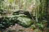 walloverhump.jpg (100659 bytes)